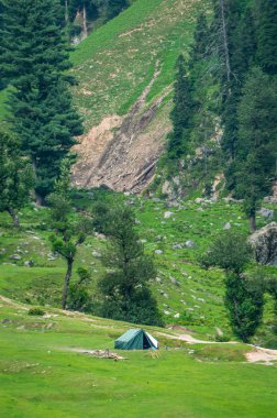 Kamp çadır kamp Aru, Keşmir, Hindistan Pahalgam çayıra bir grup tarafından kurulan görünümünü portre