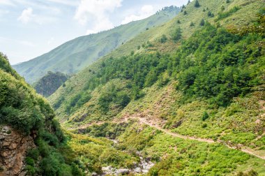 Trekking parça yönlendirme yolu yeşil orman Olimpiyatlar yarın başlıyor