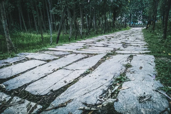 Sebuah Jalan Berbatu Mengarah Hutan Lebat Manasbal Kashmir — Stok Foto