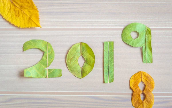 Natural leaf art showing Happy New Year 2019 on a wooden background. Transition from 2018 to 2019