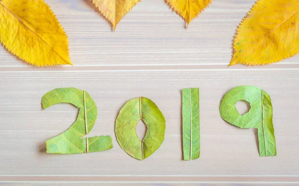 Natural leaf art showing Happy New Year 2019 on a wooden background.