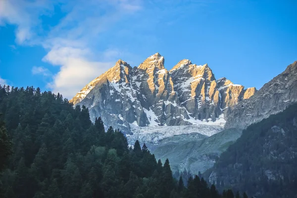 Sunrise on a snow-capped mountain peak. A mountain with a glacier and a pine forest in the foreground in Sonmarg, Kashmir