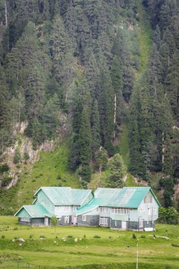 Bir turizm resort kulübede bir çam ormanı Olimpiyatlar yarın başlıyor