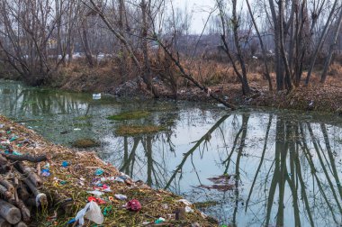 Kirli su vücut ağaçlarda yansımasıdır, plastik atıkların ve insan depositedin küçük bir nehir Keşmir, Hindistan atıklar.