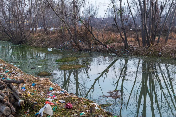 Reflejo Árboles Una Masa Agua Contaminada Residuos Plásticos Desechos Humanos Imagen de stock