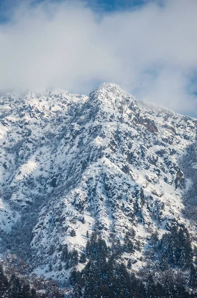 Nieve Cubrió Las Montañas Zabarwan Cachemira Himalaya Cachemira India Imagen de archivo