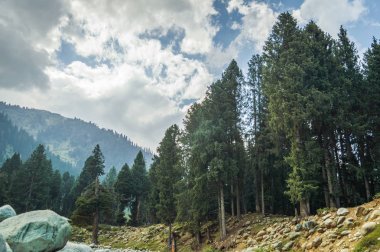 Çam ağaçları, dağlar ve dramatik bulutlu gökyüzü ile Keşmir, Hindistan tipik bir manzara