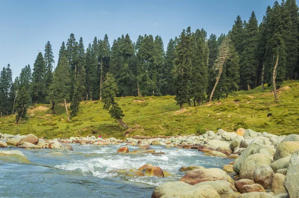 A vast field of round boulders of a river bed in a landscape in Doodhpathri, Kashmir. Clear blue water flowing in the sream