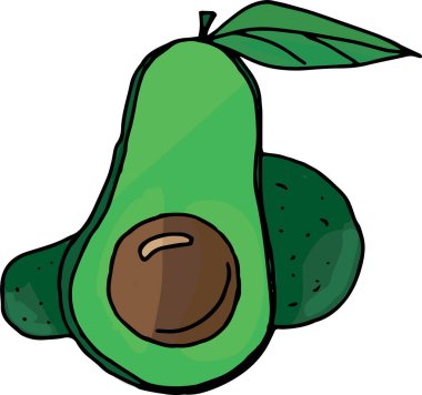 Avokado meyveli çizgi film çizimi. Avokado ve dilim beyaz vektör üzerinde izole