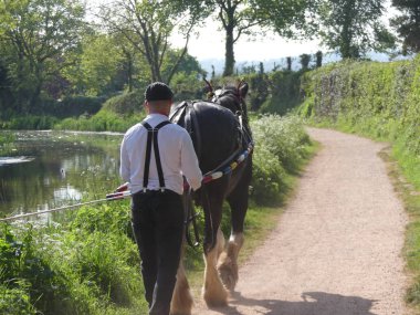 Devon, İngiltere - 8 Mayıs 2018: büyük Western kanal üzerinde seyahat Tiverton kanal şirket at çizilmiş mavna