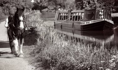 Devon, İngiltere - 7 Mayıs: Britains sıcak Mayıs resmi tatili, Ross at Grand Western kanal boyunca Tiverton kanal şirketlerinin mavna üzerinde 7 Mayıs 2018 yılında Tiverton, Devon, İngiltere'de çeker