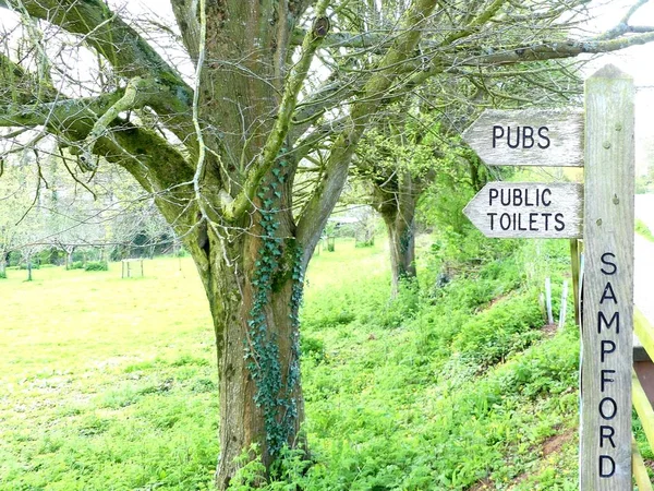 Sampford Peverell, Devon, pub ve tuvaletler doğru yönlendiren bir tabela — Stok fotoğraf