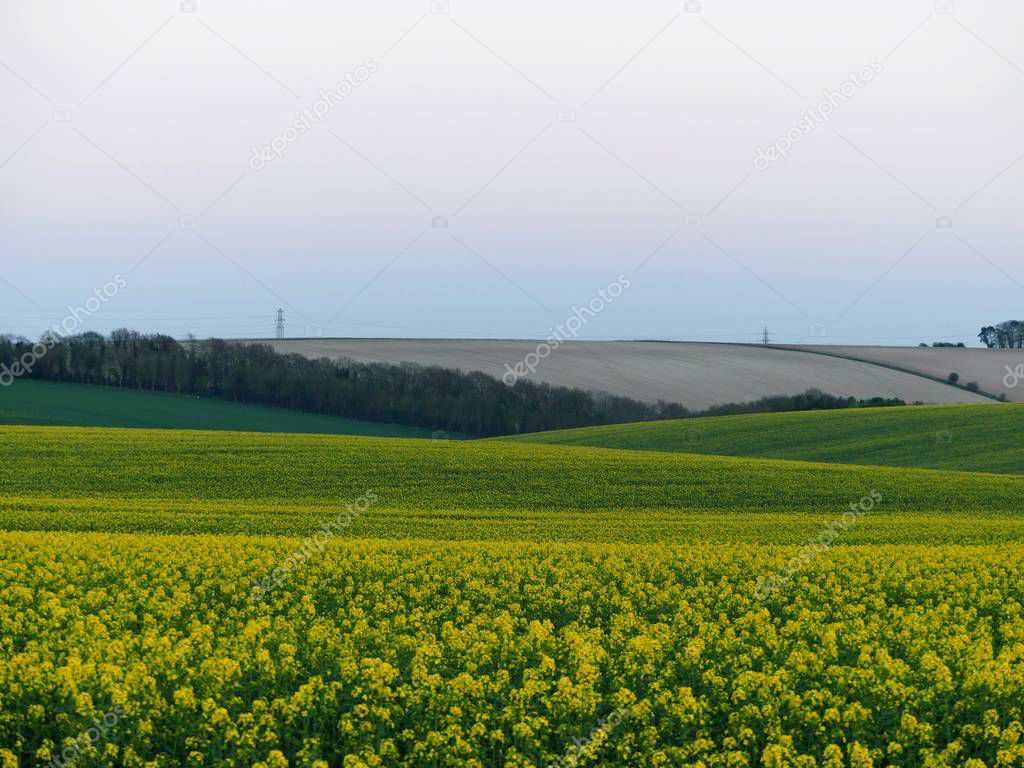 British countryside, fields near Stonehange, England, with electricity pylons in the distance