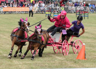 Devon, İngiltere - 30 Temmuz 2018: sürüş, Binicilik zaman yarışını arabaları ile Scurry