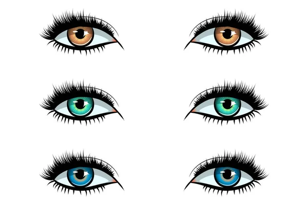 Женские глаза — стоковый вектор