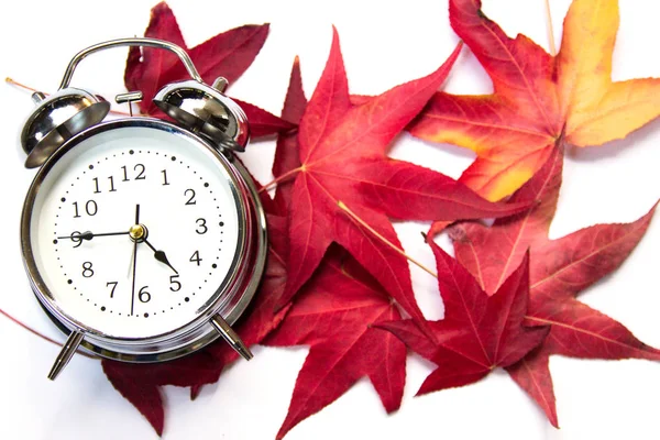 白地にビンテージの目覚まし時計と赤いカエデの葉します 秋の訪れ 概念の季節 2018 ロイヤリティフリーのストック画像