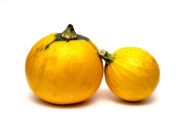 beyaz zemin üzerinde yuvarlak kabak.