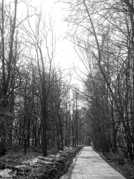 Em um parque de Moscou, uma fotografia em preto e branco — Fotografia de Stock