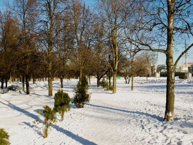 Yolun Moskova parkın içinden