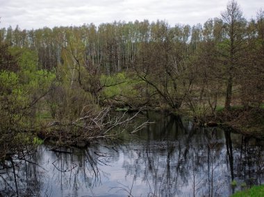 Bahar küçük bir nehir