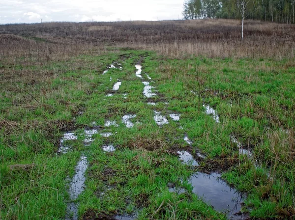 Camino de tierra después de la lluvia — Foto de Stock