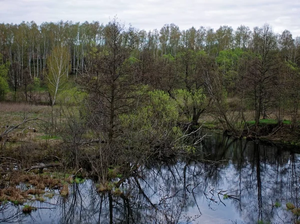 Un pequeño río en primavera —  Fotos de Stock