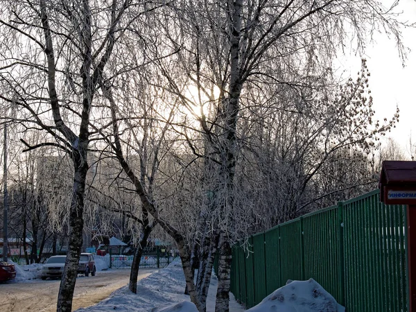 Der frühe frostige Morgen — Stockfoto