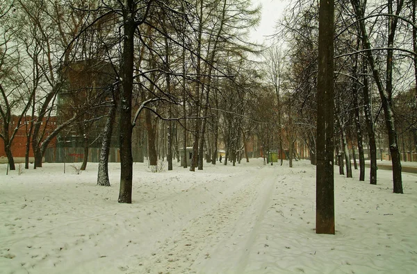 Parque de inverno perto do mosteiro — Fotografia de Stock