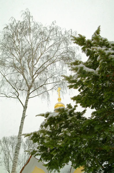 Прогулка по Московскому монастырю — стоковое фото