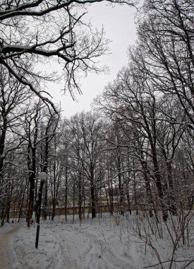 Moskova 'daki kış parkı