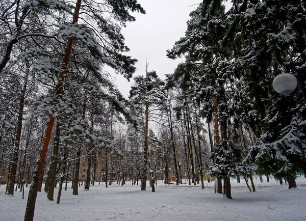 Park zimowy w Moskwie — Zdjęcie stockowe