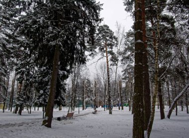 Moskova 'daki kış parkı
