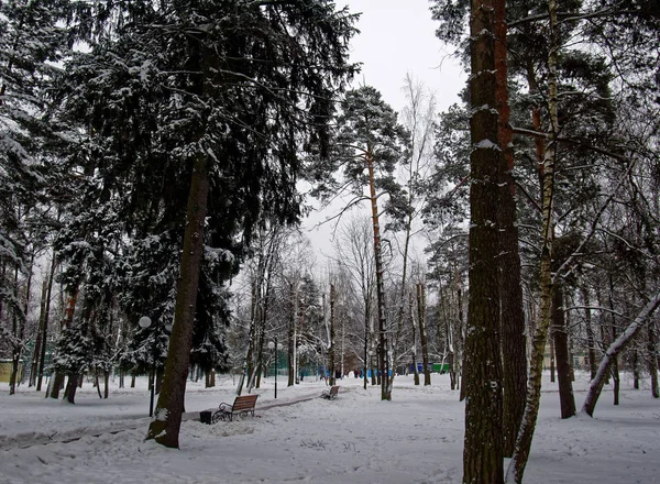 Parque de inverno em moscow — Fotografia de Stock