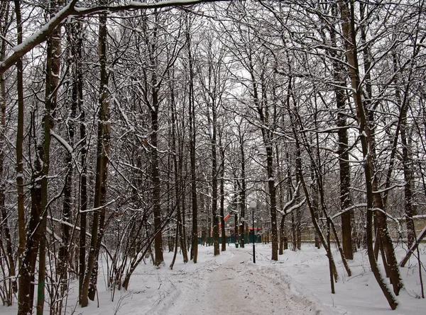 Parque de inverno em moscow — Fotografia de Stock