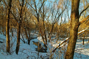 Moskova Park açık kış gününde