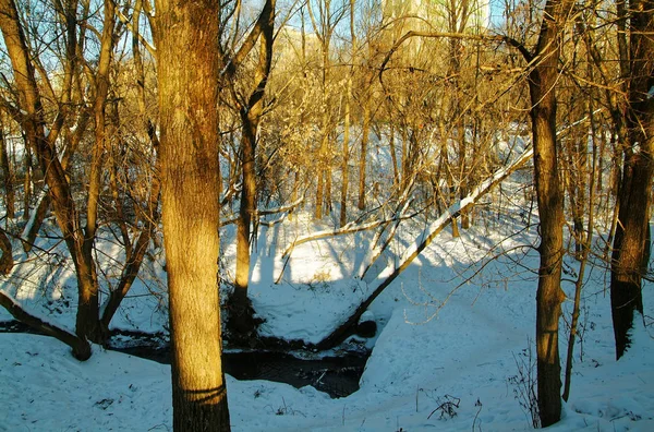 Moskiewskiego Parku na dzień jasne zimowe — Zdjęcie stockowe