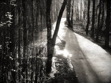 Bir Moskova Park, bir siyah-beyaz fotoğraf