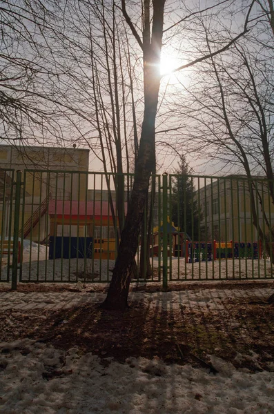 春に幼稚園の近くの木 — ストック写真