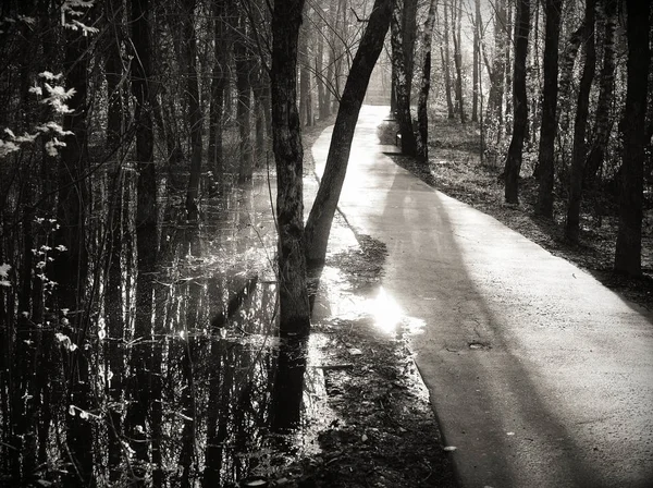 Bir Moskova Park, bir siyah-beyaz fotoğraf