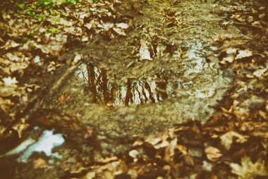 Moskova bahar Parkı üzerinde yürümek