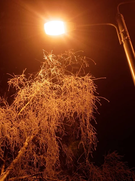 Lampione di notte — Foto Stock