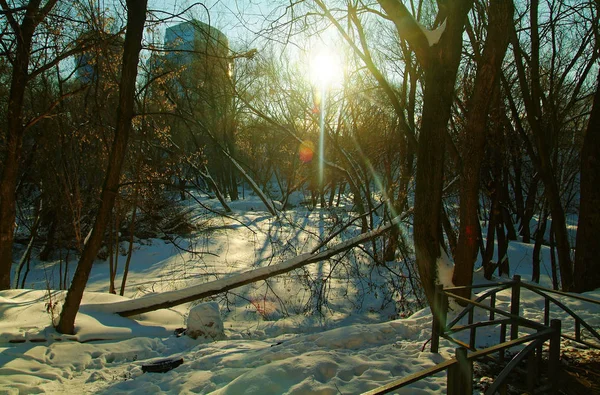 Journée d'hiver à Moscou — Photo