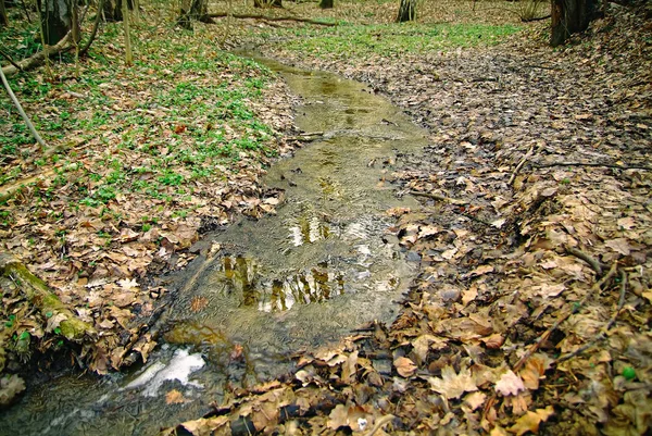 Caminar por el parque de primavera de Moscú — Foto de Stock