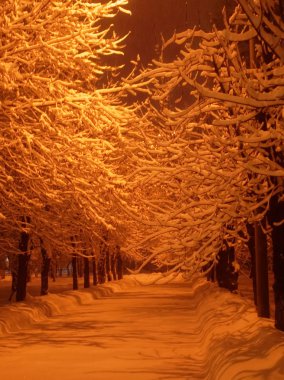 Kışın parkta akşam