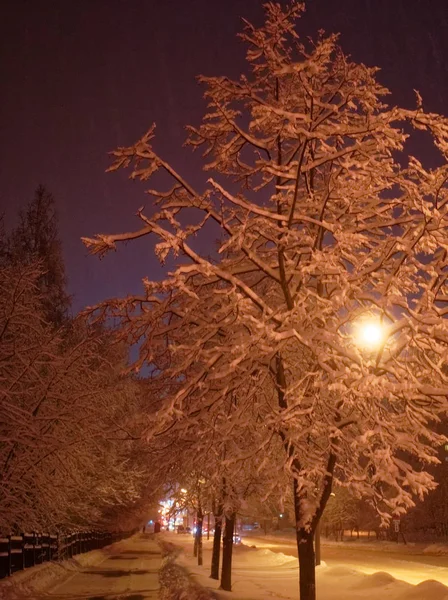 kış geceleri sokak ışık