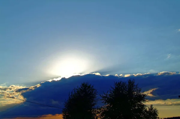 Grove of trees at sunset and clouds — Stock Photo, Image