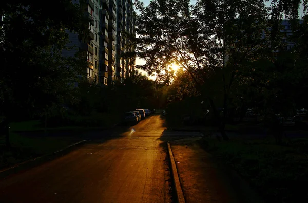 Asfalt weg in de buurt van het huis in de zomeravond — Stockfoto