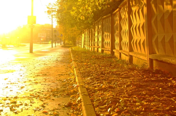 Luce solare brillante sul marciapiede in autunno — Foto Stock