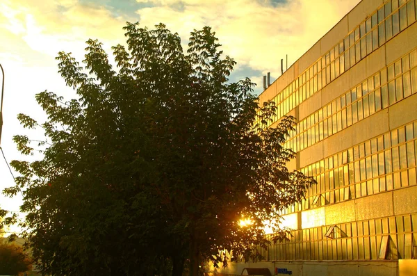 Luz solar brillante en la pared del edificio en otoño — Foto de Stock