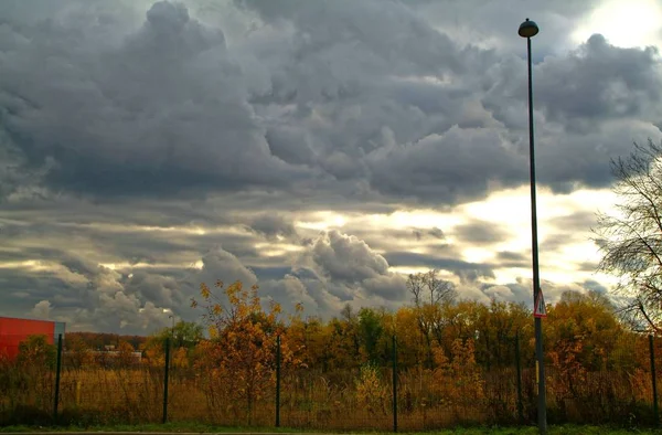 Autumn tree on cloudy sky background — Stock Photo, Image